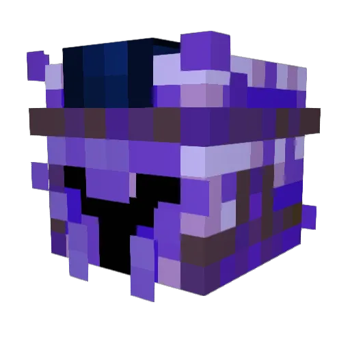 MeekFurball8454 Minecraft avatar head, 3D render