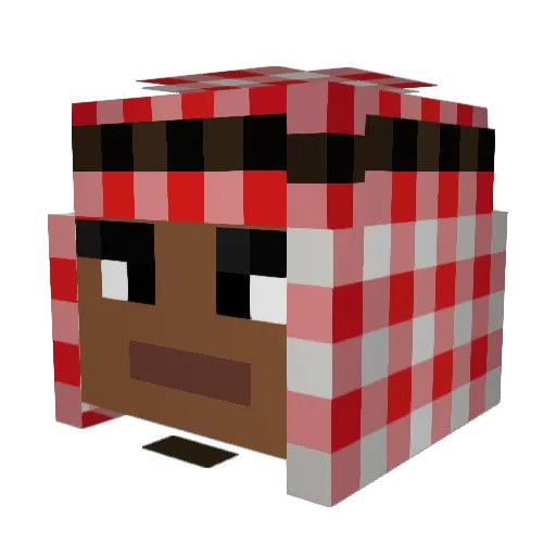 MeekMeals1 Minecraft avatar head, 3D render