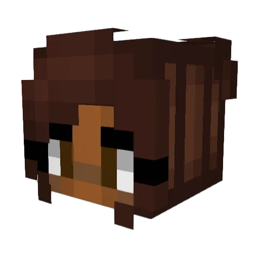 Meeko48 Minecraft avatar head, 3D render