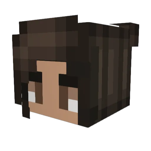 Meeks100 Minecraft avatar head, 3D render