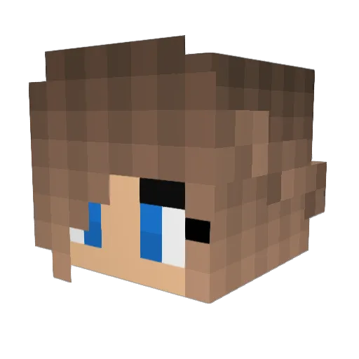 Meelee05 Minecraft avatar head, 3D render