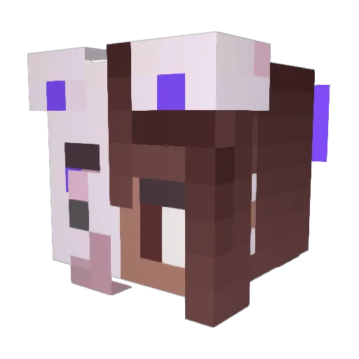 Meelkim Minecraft avatar head, 3D render