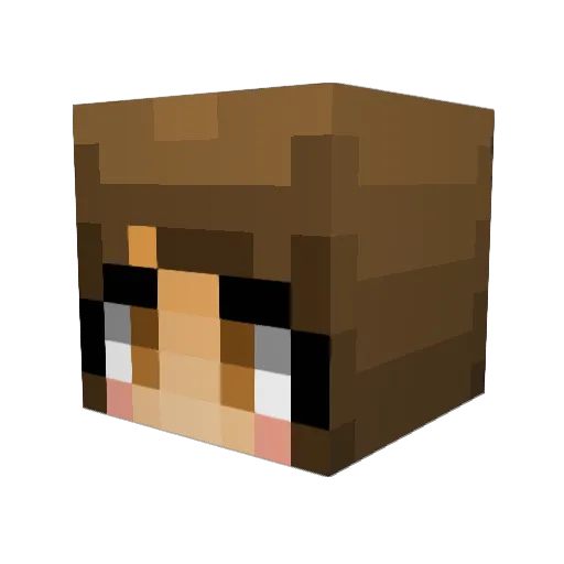 Meema09 Minecraft avatar head, 3D render