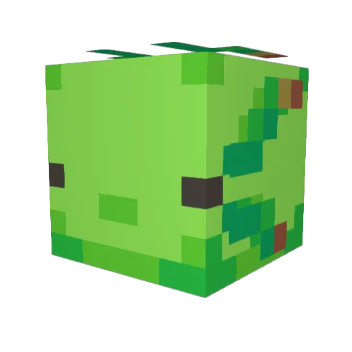 Meep23456 Minecraft avatar head, 3D render
