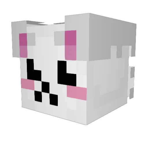 Meep3636 Minecraft avatar head, 3D render
