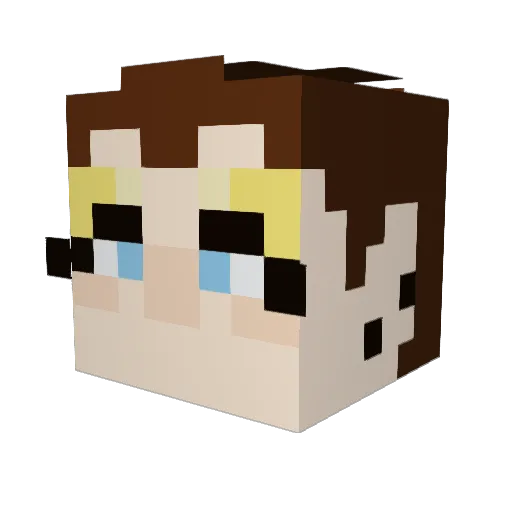 MeepDuckINC Minecraft avatar head, 3D render