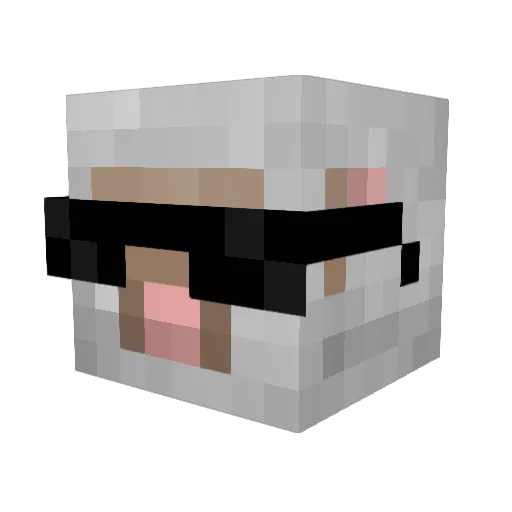 MeepEditz Minecraft avatar head, 3D render