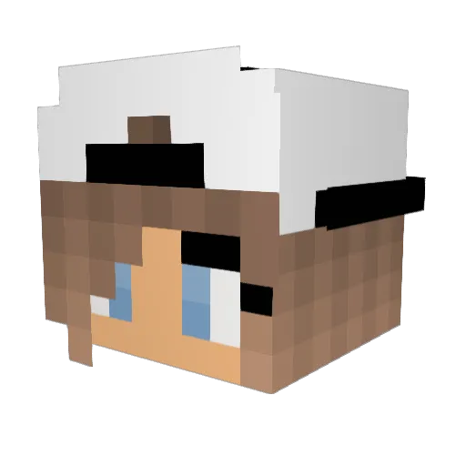 MeepLife_2005 Minecraft avatar head, 3D render