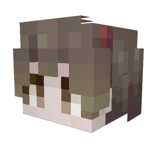 MeepMeep555 Minecraft avatar head, 3D render