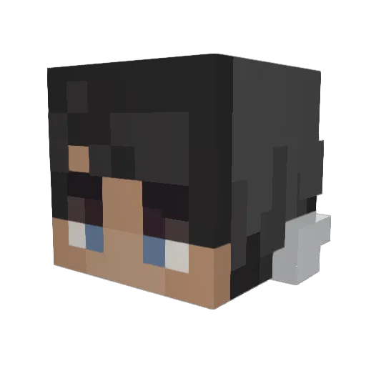 Meepers17 Minecraft avatar head, 3D render