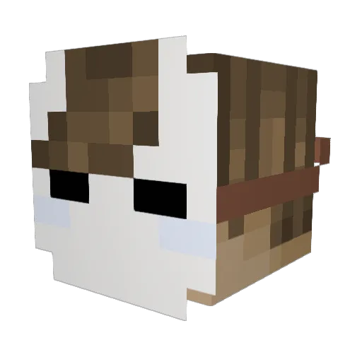 Meepnoo Minecraft avatar head, 3D render