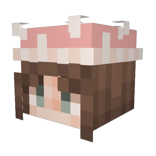 Meeps_coco Minecraft avatar head, 3D render