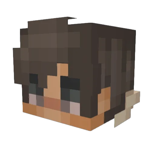 Meepster10 Minecraft avatar head, 3D render