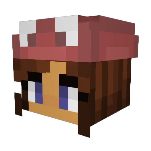 MeeraMayde Minecraft avatar head, 3D render
