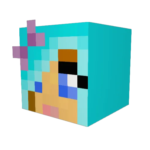 Meerkat9669 Minecraft avatar head, 3D render