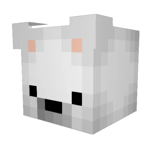 MeerkatGod0 Minecraft avatar head, 3D render