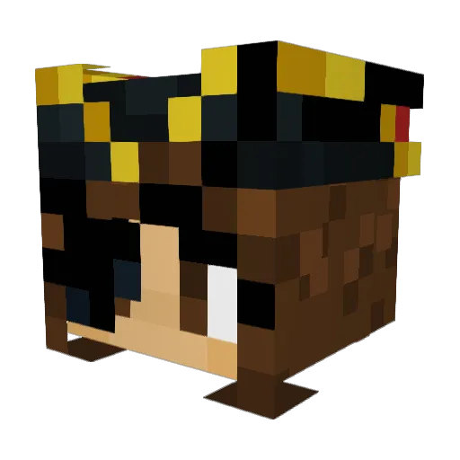 Mees2011 Minecraft avatar head, 3D render