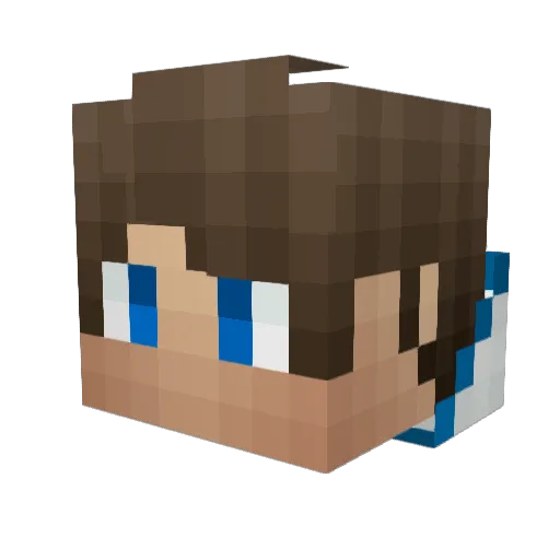 Meesboy1 Minecraft avatar head, 3D render