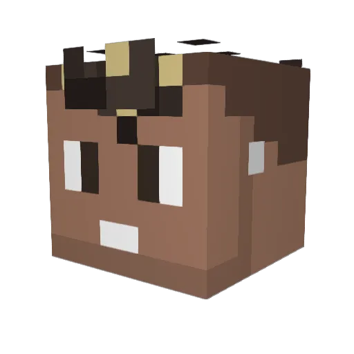Meeskees12345678 Minecraft avatar head, 3D render