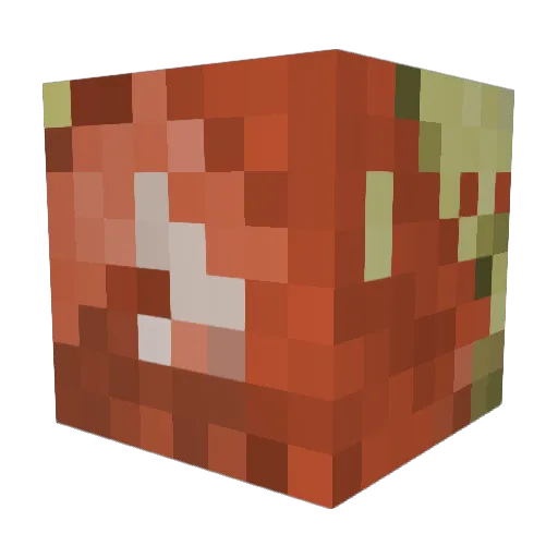 MeetPi Minecraft avatar head, 3D render