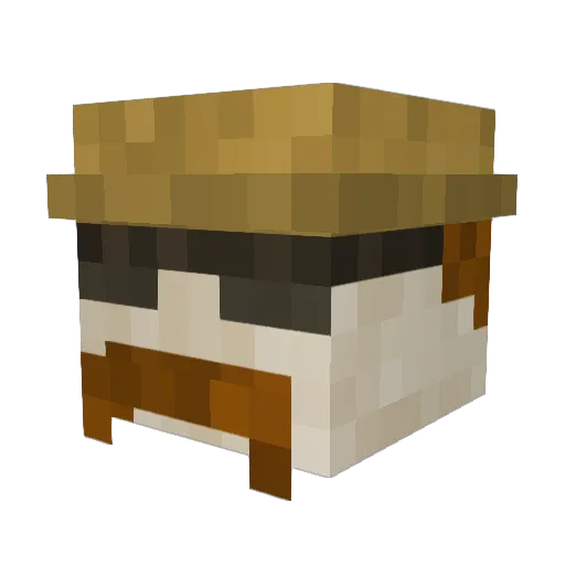 Meett Minecraft avatar head, 3D render