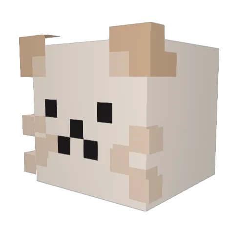 Meewa00 Minecraft avatar head, 3D render