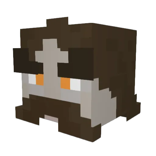 Meflailus Minecraft avatar head, 3D render