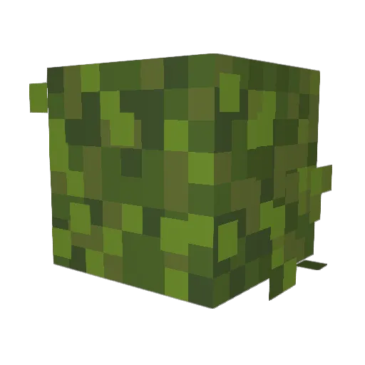 Meformis Minecraft avatar head, 3D render