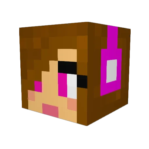 Meg1462 Minecraft avatar head, 3D render