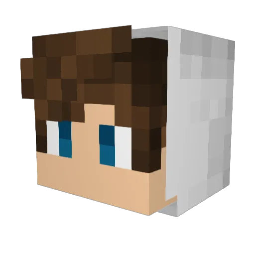 Meg1626 Minecraft avatar head, 3D render