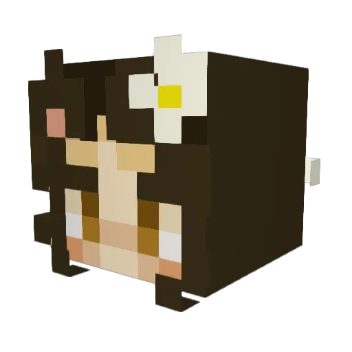 MegDaniel1 Minecraft avatar head, 3D render