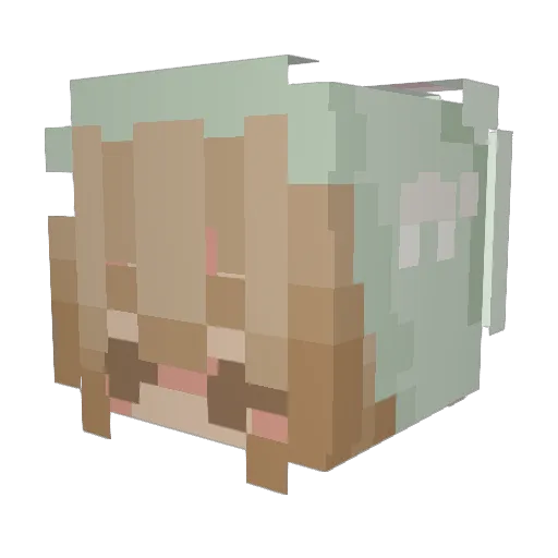 MegEmind Minecraft avatar head, 3D render