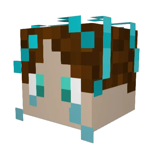 MegMeg09 Minecraft avatar head, 3D render