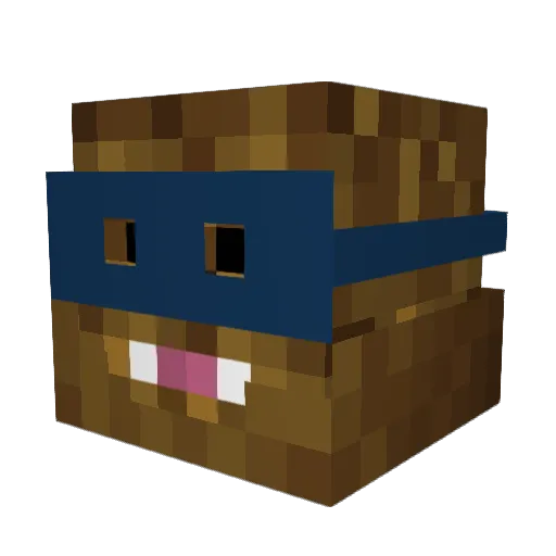 MegRyan14 Minecraft avatar head, 3D render