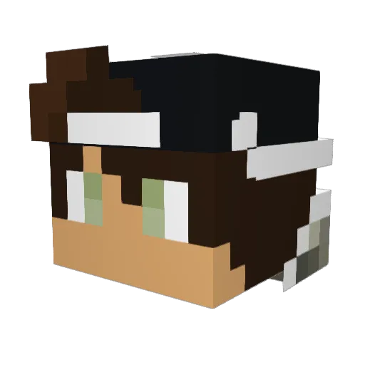 Mega25 Minecraft avatar head, 3D render