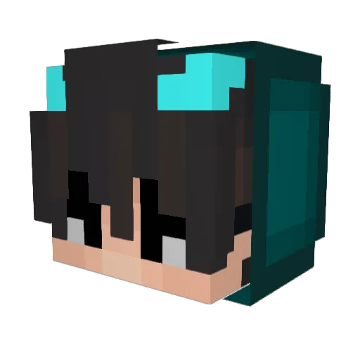 MegaCOCO Minecraft avatar head, 3D render