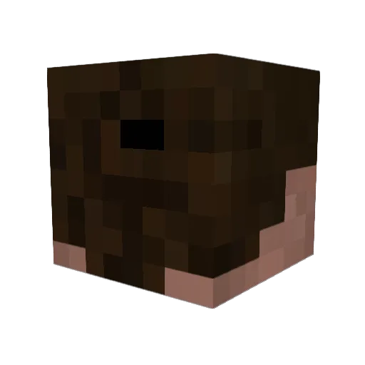 MegaClaw4 Minecraft avatar head, 3D render