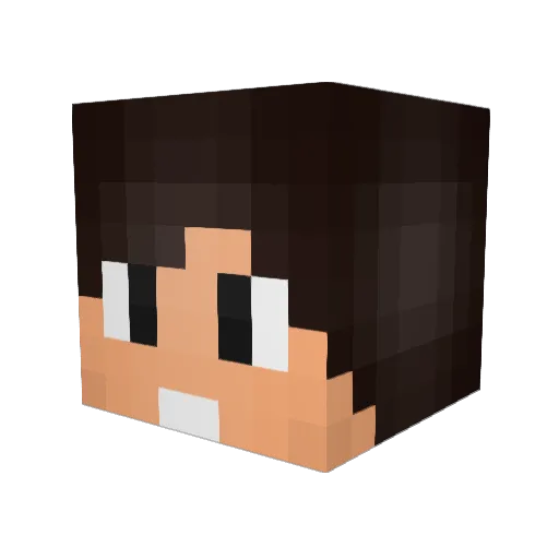 MegaExtremo3100 Minecraft avatar head, 3D render