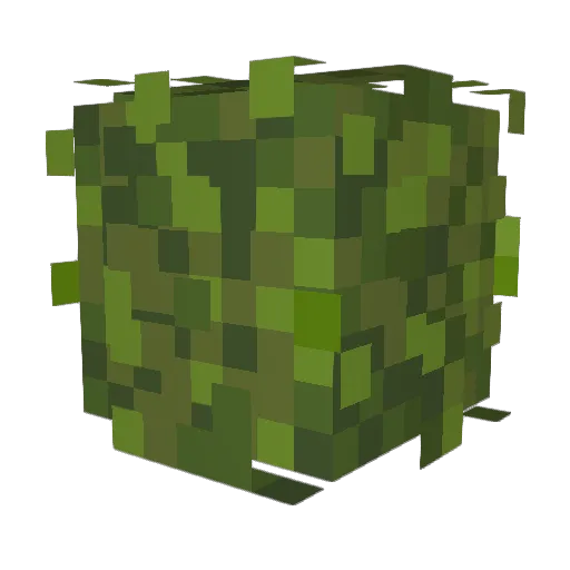 MegaFire29 Minecraft avatar head, 3D render