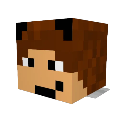 MegaKot122 Minecraft avatar head, 3D render