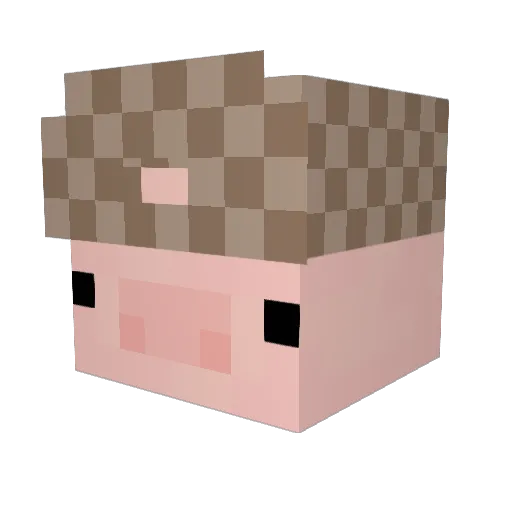 MegaLargePeenMan Minecraft avatar head, 3D render