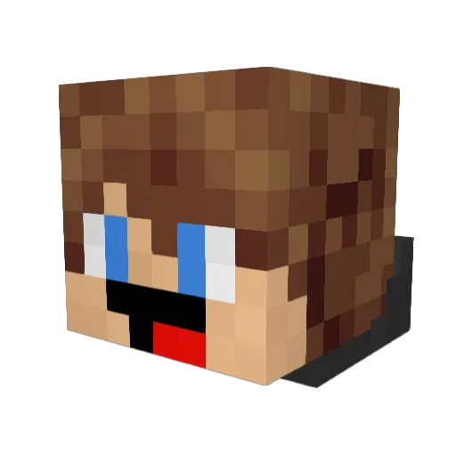 MegaMoose14 Minecraft avatar head, 3D render