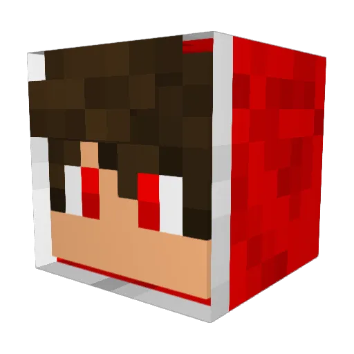 MegaNano Minecraft avatar head, 3D render