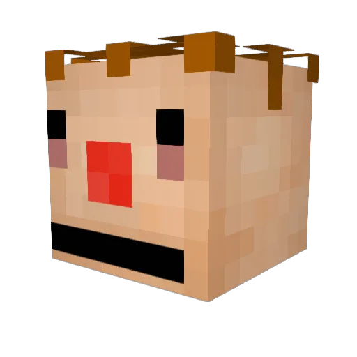 MegaNixon Minecraft avatar head, 3D render