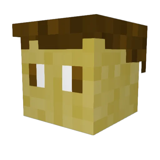 MegaOpSuperEboy Minecraft avatar head, 3D render