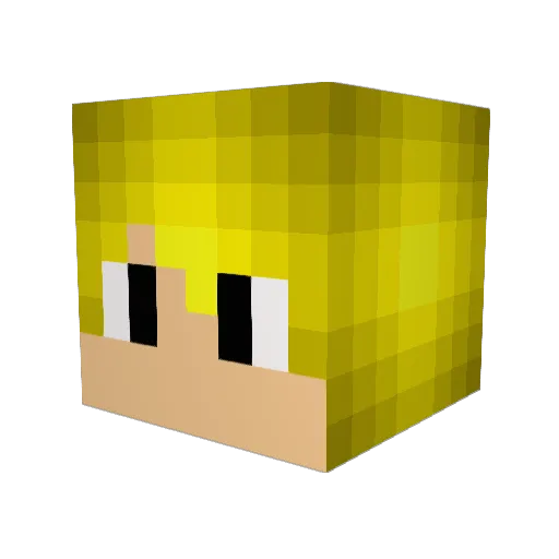 MegaPanda20 Minecraft avatar head, 3D render