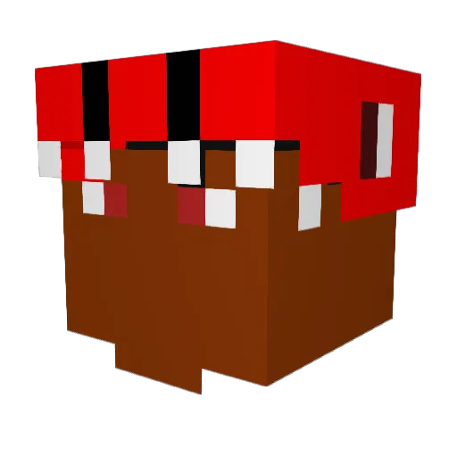 MegaRex935 Minecraft avatar head, 3D render