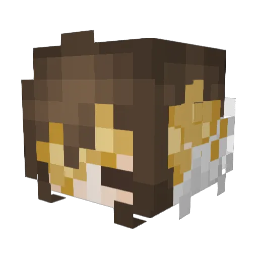 MegaSanswhich Minecraft avatar head, 3D render