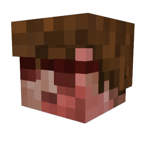 MegaSeige Minecraft avatar head, 3D render
