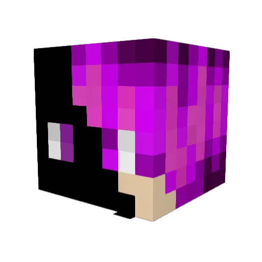 MegaTrollGames Minecraft avatar head, 3D render